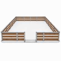 Patinoire synthétique vue de face, avec son entrée par rampe en aluminium